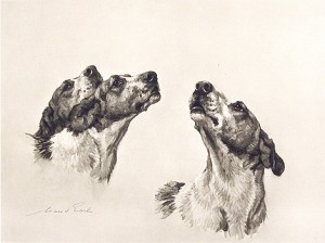 Maud Earl Dog Prints Fox Hounds Ladies of the Chorus Engraving