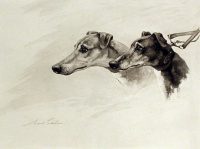 Maud Earl Dog Prints Greyhounds In the Slips engraving