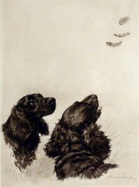 Maud Earl Dog Prints High Feather Sussex Spaniels Engraving