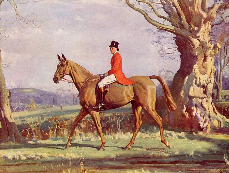 link to Alfred Munnings Pictures and Prints