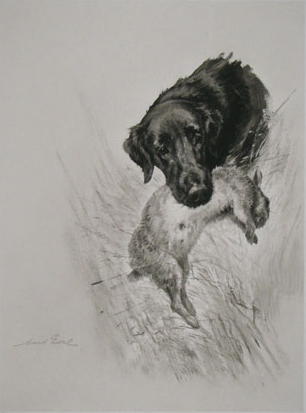 Maud Earl Dog Prints A Maid of all Work Flat Coated Retriever
