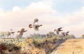 image link to https://www.stephenpritchard.co.uk/product-category/birds-game-prey-prints-paintings/