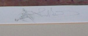 Lionel Edwards Racing Print The Ditch Newmarket Signature