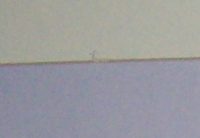 Daniel Crane December original pencil signed Hunting Print Damage