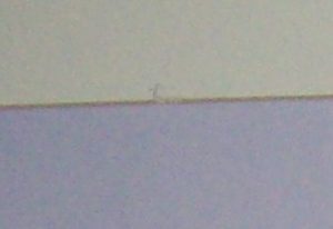 Daniel Crane December original pencil signed Hunting Print Damage