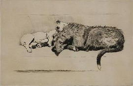 Cecil Aldin Dogs Prints and Etchings for sale