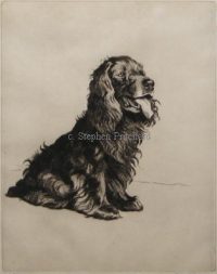 Cecil Aldin Dog Etching A Most Popular Gentleman