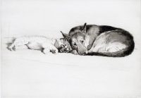 Cecil Aldin Dog Etching Inseperable