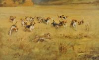 Beagles by Ivester Lloyd