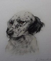 Setter by Leon Danchin