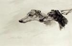 Maud Earl signed dog prints, etchings and engravings for sale